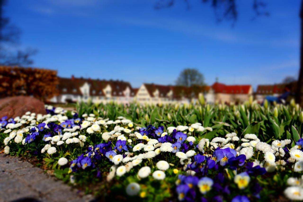 Fewo Schwarzwaldfreude Freudenstadt Kültér fotó